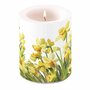 Ambiente-Kaars-candle-groot-big-GOLDEN_DAFFODILS-bloemen-goud-geel-Narcissen-75h-branduren-19116195