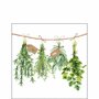 Ambiente-papieren-servetten-FRESH HERBS-25x25cm-tuinkruiden-12516285