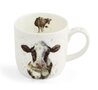 Royal-Worcester-beker-mok-mug-MOOO-Cow-koe-voorkant-Wrendale-serie-boerderij-dieren-Hannah Dale-MMQK5629