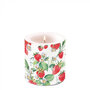 Ambiente-Kaars-candle-Small-GARDEN_STRAWBERRIES-Aardbeien-rood-35h-branduren-19215915