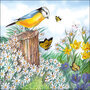 papieren-servetten-p/20-Ambiente-BIRD_WATCHING-Pimpelmees-bloemen-33x33cm-lunch-diner-13317010-voorjaar-spring-zomer