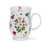 Dunoon-beker-Suffolk-NATURE-N/BOOK-Dogrose-Rozenbottel-Hondsroos-Veldbloemen-insekten-Charlotte_Galloux