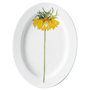 Timeless-ovale-schaal-oval_plate-30cm-yellow-flowers-bloemen-geel-Clou_&amp;_Classic