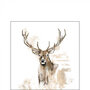 papieren-servet-p/20-Ambiente-cocktail-25x25cm-ANTLERS-stag-deer-hert-eland-gewei-12517875