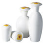 Timeless-set-Peper_&amp;_zout-vaatjes-stel-strooier-YELLOW_FLOWERS-fine_bone_China