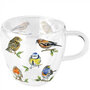 Ambiente-dubbel-glas-theeglas-beker-mok-mug-BIRD_SPIECES-tuin-vogels-200ml-hartvorm-14418135-