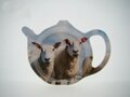 Theetipje-theezakhouder-2-SCHAPEN-boerderij-dieren-blauwe-lucht-9806