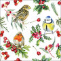papieren-lunch-servetten-Ambiente-BIRDS_IN_WINTER-33x33-vogels-winter-kerstgroen-33319955