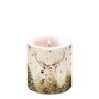 Ambiente-candle-Small-kaars-35h-branduren-39214760