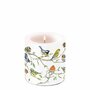 Ambiente-Kaars-candle-Small-BIRDS-MEETING-tuin-vogels-op-takken-35h-branduren-19214975