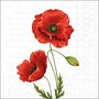 papieren-servetten-PROUD-POPPY-klaproos-met-tekst-lunchservet-diner-p/20-33x33cm-Ambiente-13316120