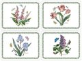 Pimpernel-Portmeirion-placemats-Botanis-garden-Tulp-sering-iris-kunststof-kurk-set/4