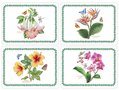 placemats-Exotic-Botanic-garden-kunststof-kurk-set/4-Pimpernel-Portmeirion
