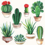 Papieren-servetten-Ambiente-CACTUS-cactussen-planten-vetplanten-lunch-diner-33x33cm