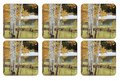 Pimpernel-onderzetters-coasters--kunststof-kurk-set/6-BIRCH BEAUTY-Berkenbomen-bos-bruine-bladeren-10.5x10.5cm