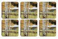 Pimpernel-onderzetters-coasters--kunststof-kurk-set/6-BIRCH BEAUTY-Berkenbomen-bos-bruine-bladeren-10.5x10.5cm