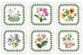 Pimpernel-Portmeirion-onderzetters-Exotic-botanic-garden-exotische-bloemen
