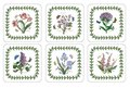 Pimpernel-Portmeirion-onderzetters-botanic-garden