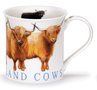 Bute-beker-mok-highland-hooglander-cows-koeien-ossen