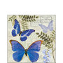 Ambiente-papieren-servet-paper-napkin-BLUE-MORPHO-butterfly-vlinder-25x25cm-blauwe-regen-Wisteria_Sinensis-plant-struik