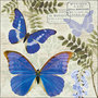 Ambiente-papieren-servet-paper-napkin-BLUE-MORPHO-butterfly-vlinder-33x33cm-blauwe-regen-Wisteria_Sinensis-plant-struik