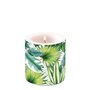 Ambiente-Kaars-candle-klein-Small-TROPICAL-LEAVES-tropische-bladeren-35h-branduren-19210940