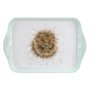 WRENDALE-Scatter-Tray-dienblad-Small-HEDGEHOG-Bosdieren-Egel-14,5x21cm-Pimpernel-Hannah_Dale-