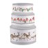 Wrendale-CHRISTMAS-CAKE-TIN-set/3-koekblik-trommel-rond-20_22.5_25cm-WRENDALE-dieren-Muis-Roodborstje-Haas-design-Hannah_Dale-