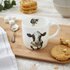 Royal-Worcester-beker-mok-mug-MOOO-Cow-koe-voorkant-Wrendale-serie-boerderij-dieren-Hannah Dale-MMQK5629