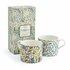 Morris & Co-SPODE-Daffodil_&_Willow_bough-gekleurde-motieven-groen-geel-Narcis-MORRIS_CO-set/2-MCOJ8726_XG