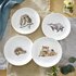 Royal_Worcester-WRENDALE-Assorti-breakfast-plates-set/4-WOODLAND_ANIMALS-owl-fox-hedgehog-badger-uil-vos-egel-das-ontbijtbordje