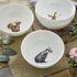 Royal_Worcester-WRENDALE-Assorti-breakfast-deep-bowls-set/4-FOX-HARE-SQUIRREL-BADGER-ontbijt-kommen-15.5cm-Hannah_Dale-WNET4311