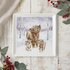 Wrendale-Designs-square-plate-23cm-HIGHLAND-STAR-Schotse-Hooglander-Kalfjes-Sneeuw-fine-bone-China-vierkant-bord-winter-design-