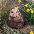 Wrendale_Designs-zachte-pluchen-knuffel-Beaver-CHESTER-Jr-bever-Medium-design-Hannah_Dale-PLUSHM018