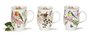 Dunoon-mugs-HEDGEROW-birds-vogels-Heg-
