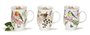 Dunoon-mugs-HEDGEROW-BIRDS-vogels-Heg-