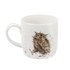 Royal-Worcester-beker-mok-mug-WHAT-A-HOOT-achterkant-Wrendale-serie-dieren-Hannah Dale-uil