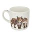 Royal-Worcester-beker-mok-mug-BORN TO BE WILD-achterkant-Wrendale-serie-bosdieren-Hannah Dale-Foxes-vossen