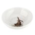 Royal_Worcester-WRENDALE-Assorti-breakfast-bowls-set/4-HARE-Haas-ontbijt-kom-15.5cm-Hannah_Dale-